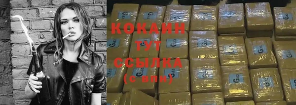 шишки Балабаново