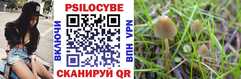 Псилоцибиновые грибы MAGIC MUSHROOMS  omg ТОР  Белоусово 